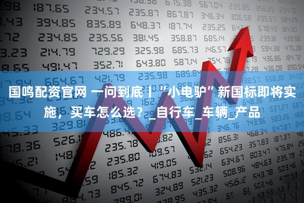 国鸣配资官网 一问到底丨“小电驴”新国标即将实施，买车怎么选？_自行车_车辆_产品