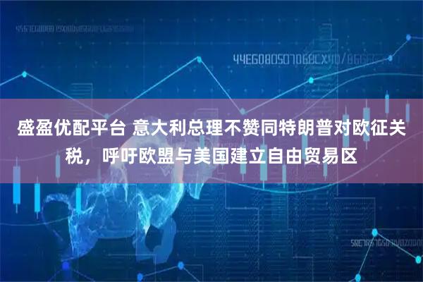 盛盈优配平台 意大利总理不赞同特朗普对欧征关税，呼吁欧盟与美国建立自由贸易区